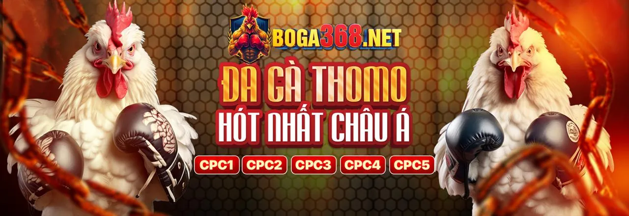 Người chiến thắng cdbet