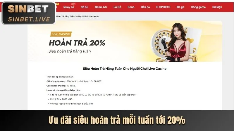 Giao diện ứng dụng di động cdbet