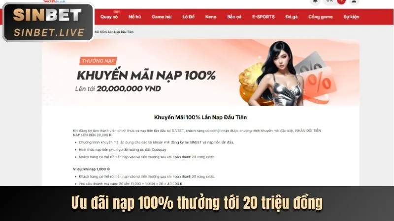 Các loại hình cược đa dạng tại cdbet